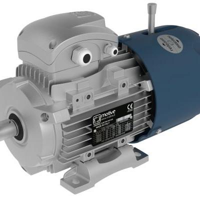 Động cơ tự phanh