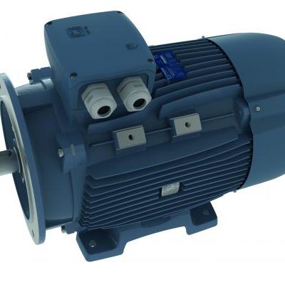 Động cơ điện Motive