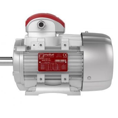 Động cơ ba pha DELFIRE