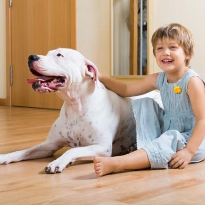 Album nhà đẹp mới nhất 6